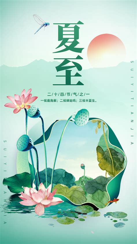 莲花图片风水|莲花